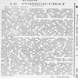 Le poisson chat (améiurus melas) introduit en France