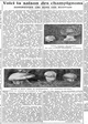 la saison des champignons comment les reconnaître