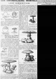Les champignons mortels : les amanites, les explications détaillées avec différentes planches de Lucien Daniel, botaniste, myclogue et professeur à la Faculté de Rennes