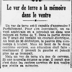 le ver de terre a le cerveau dans le ventre