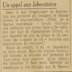 Un appel aux laboratoires, l'invasion des pieuvres en Bretagne, mais aussi les dégâts causés par les marsouins et les bélugas, les "pirates de la mer", comment s'en débarrasser ?