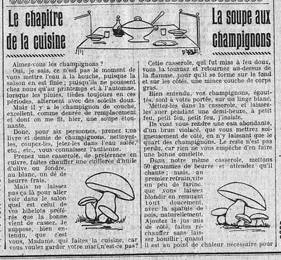 Chapitre de la cuisine, la soupe aux champignons de couche, c'est à dire les champignons de Paris