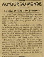 autour du monde âne et boeuf