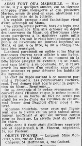 Aussi fort qu'à Marseille où des " Marius " ont abattu une tigresse, alors qu'au Mans, une chasse à la civette ou chat musqué, par des " Marius manceaux ", la confondant avec un hyène, finalement assommé et rendu à son propriétaire au 34 rue Pasteur