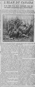 l'élan du Canada, l'orignal contre Jack Dempsey