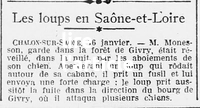 Les loups en Saône-et-Loire, et près d'un siècle plus tard :&nbsp; Saône-et-Loire : après de nouvelles attaques imputées au loup, les éleveurs à bout de nerfs