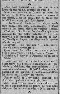 d'où viennent les fleurs de Paris, de Nice, de Cannes, mais aussi des quartier de Belleville, Charonne ou les Gobelins et de plusieurs villes de la couronne parisienne