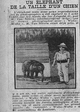 un éléphant de la taille d'un chien, en photo les 87 centimètres de " Waka-Waka ",