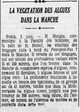 La végétation des algues dans la Manche, entre autre l'algue verte
