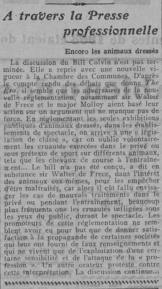 maltraitance animale