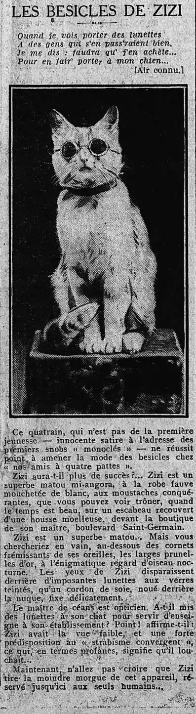 les besicles de Zizi