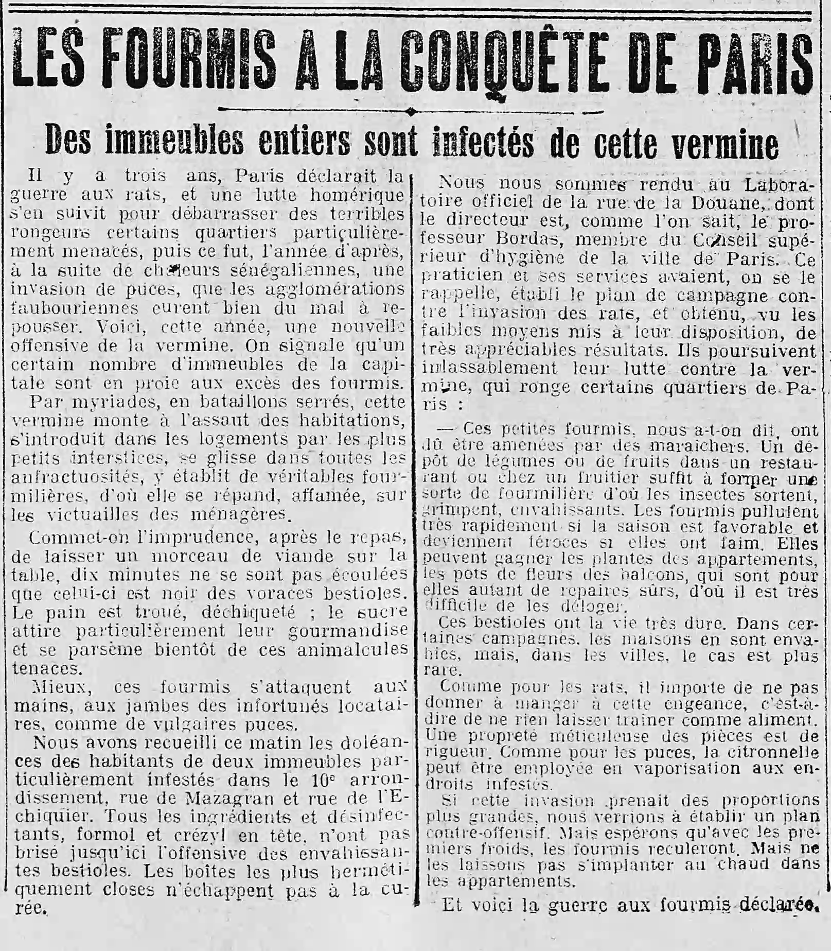 les fourmis envahissent Paris