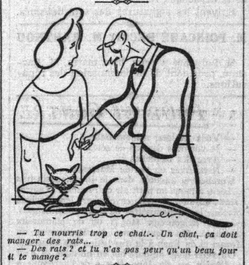 dessin humour chat et rat- n'est ps rat celui qu'on pense