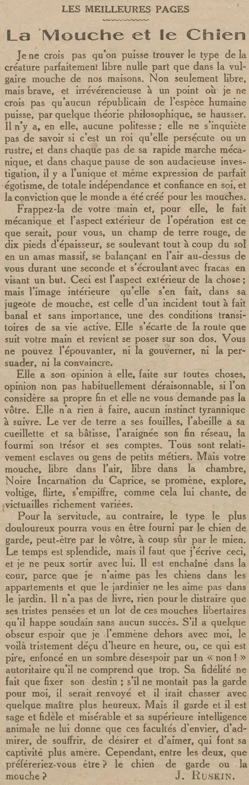 la mouche et le chien par Jon Ruskin