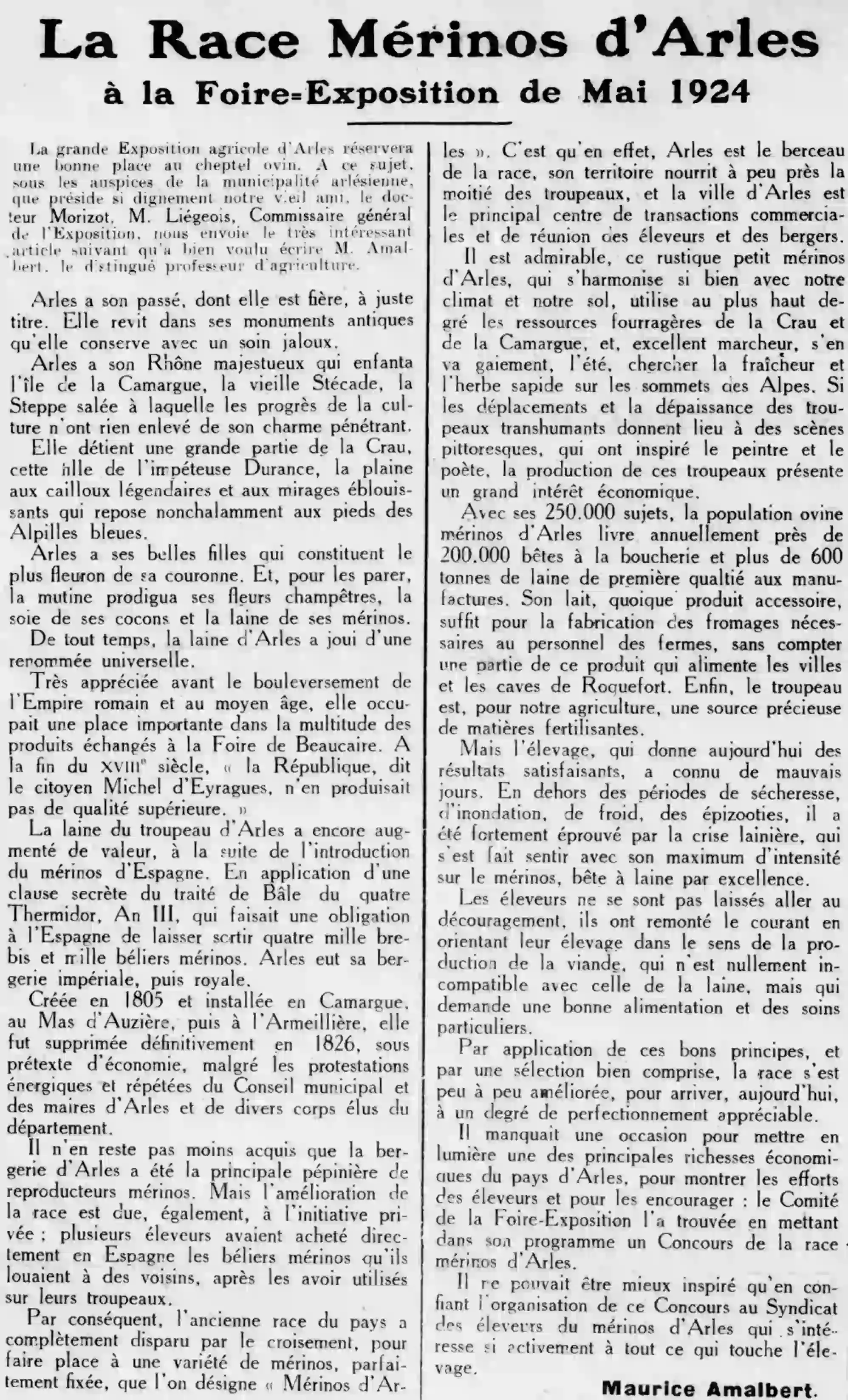 Le Provençal de Paris  le mérinos dArles