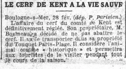 le cerf du Kent 1