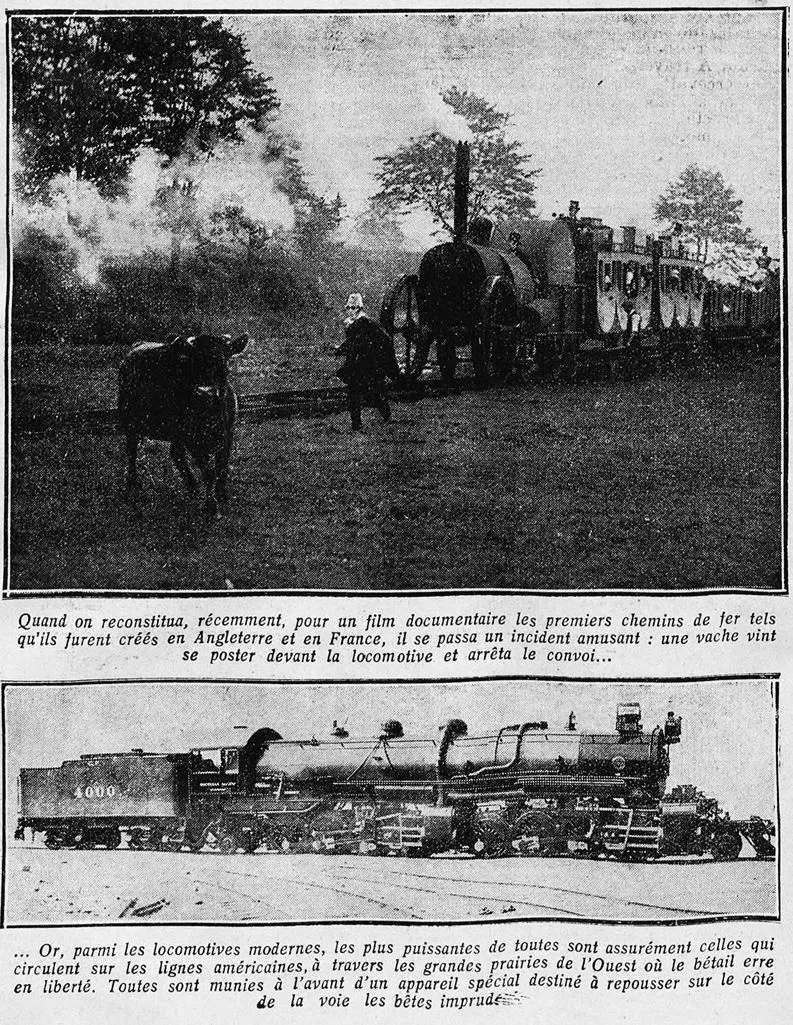 le train et la vache