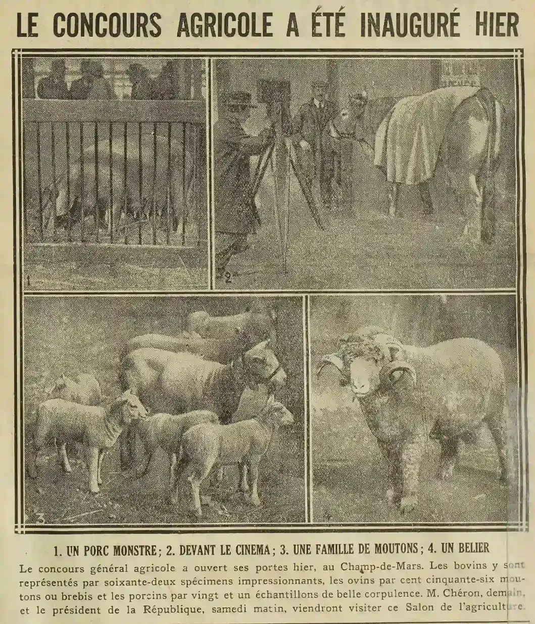 salon de l'agriculture