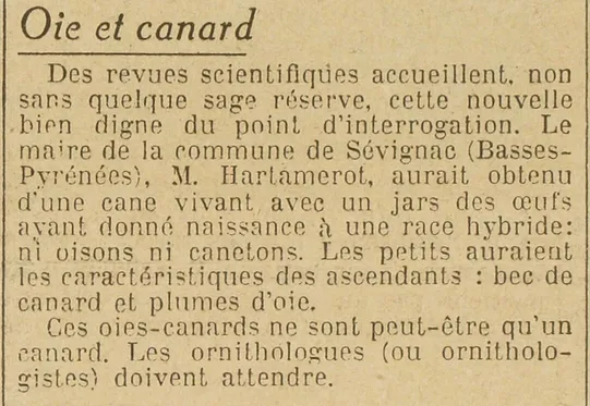 hybride oie-canard 