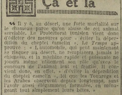 le chameau