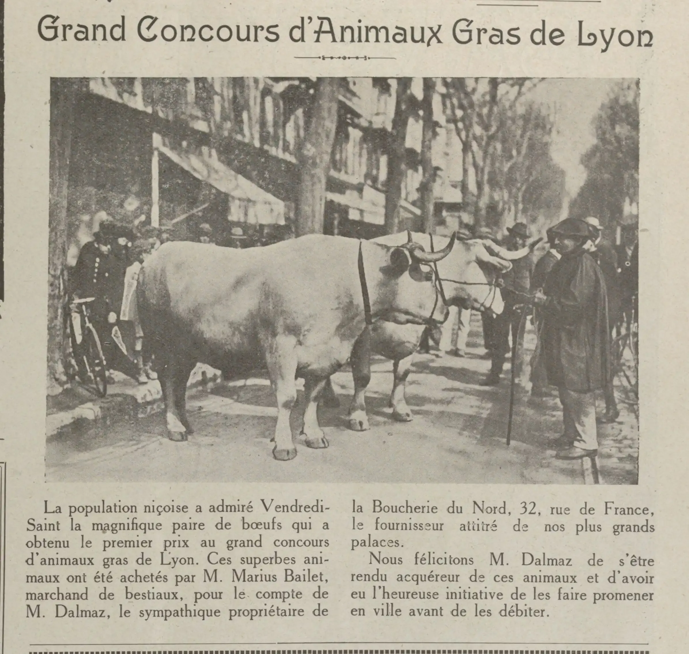 Great Gras de Lyon animal competition