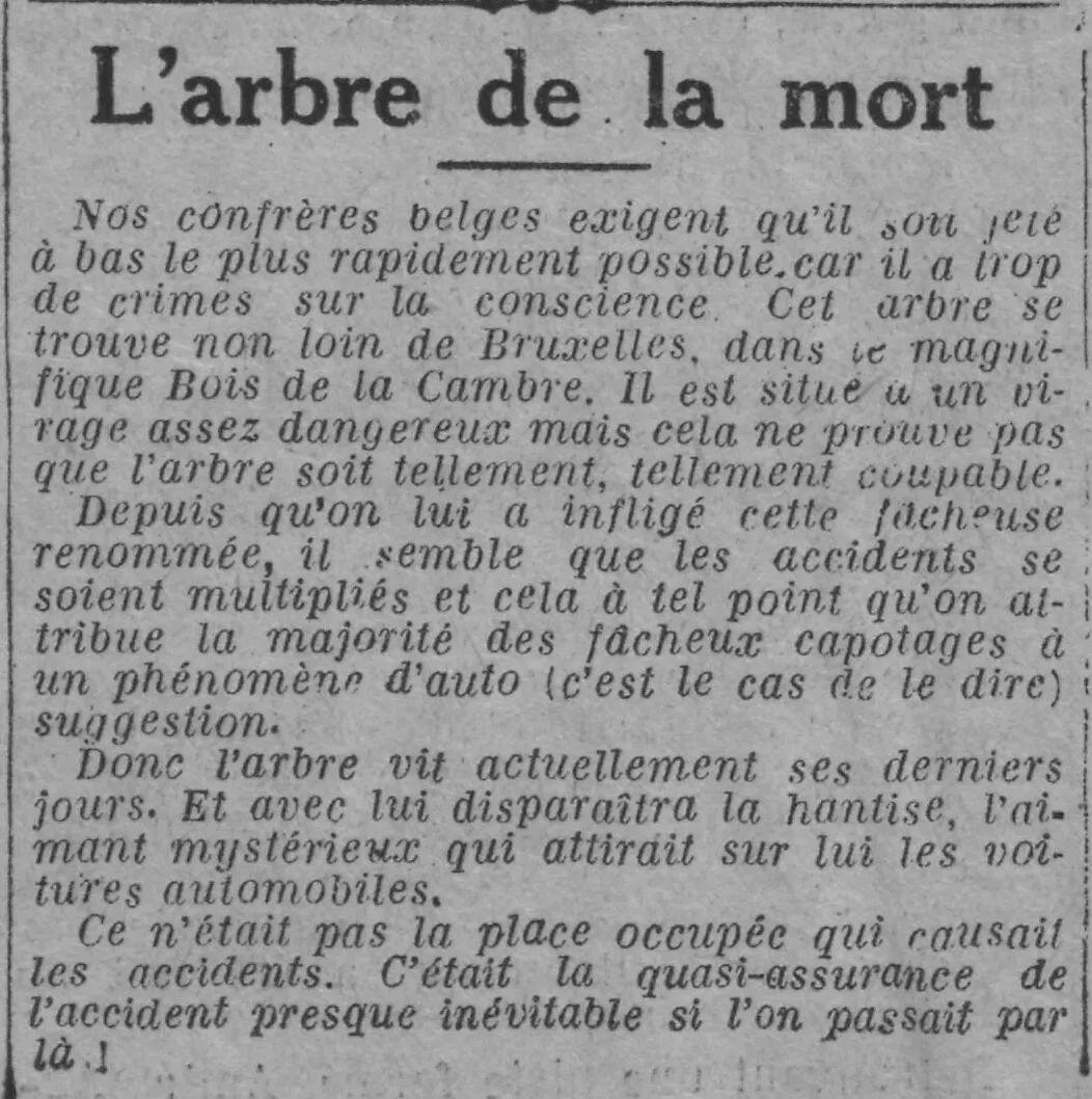 L'arbre de la mort serait-il le seul coupable