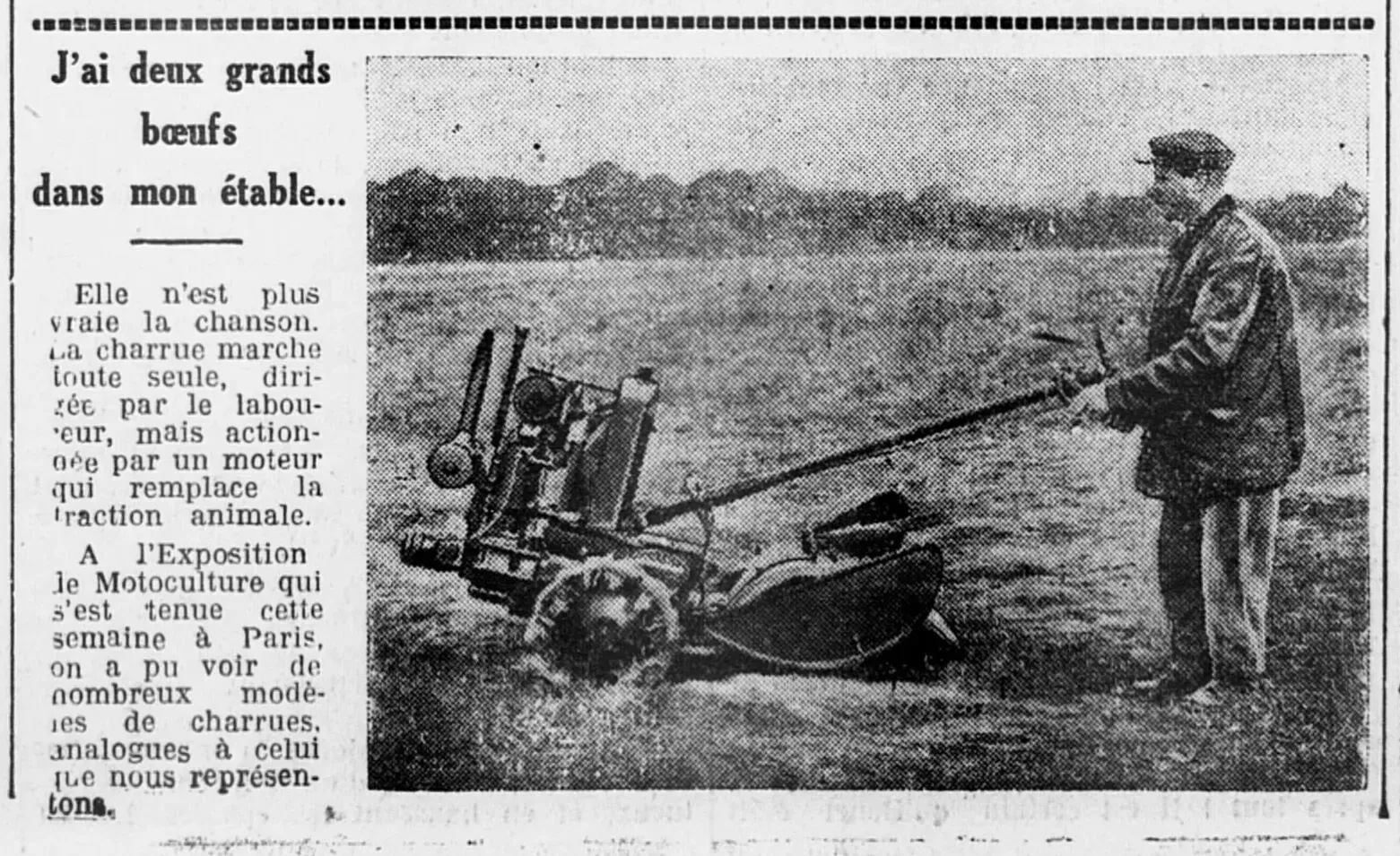 I have two big oxen in my stable