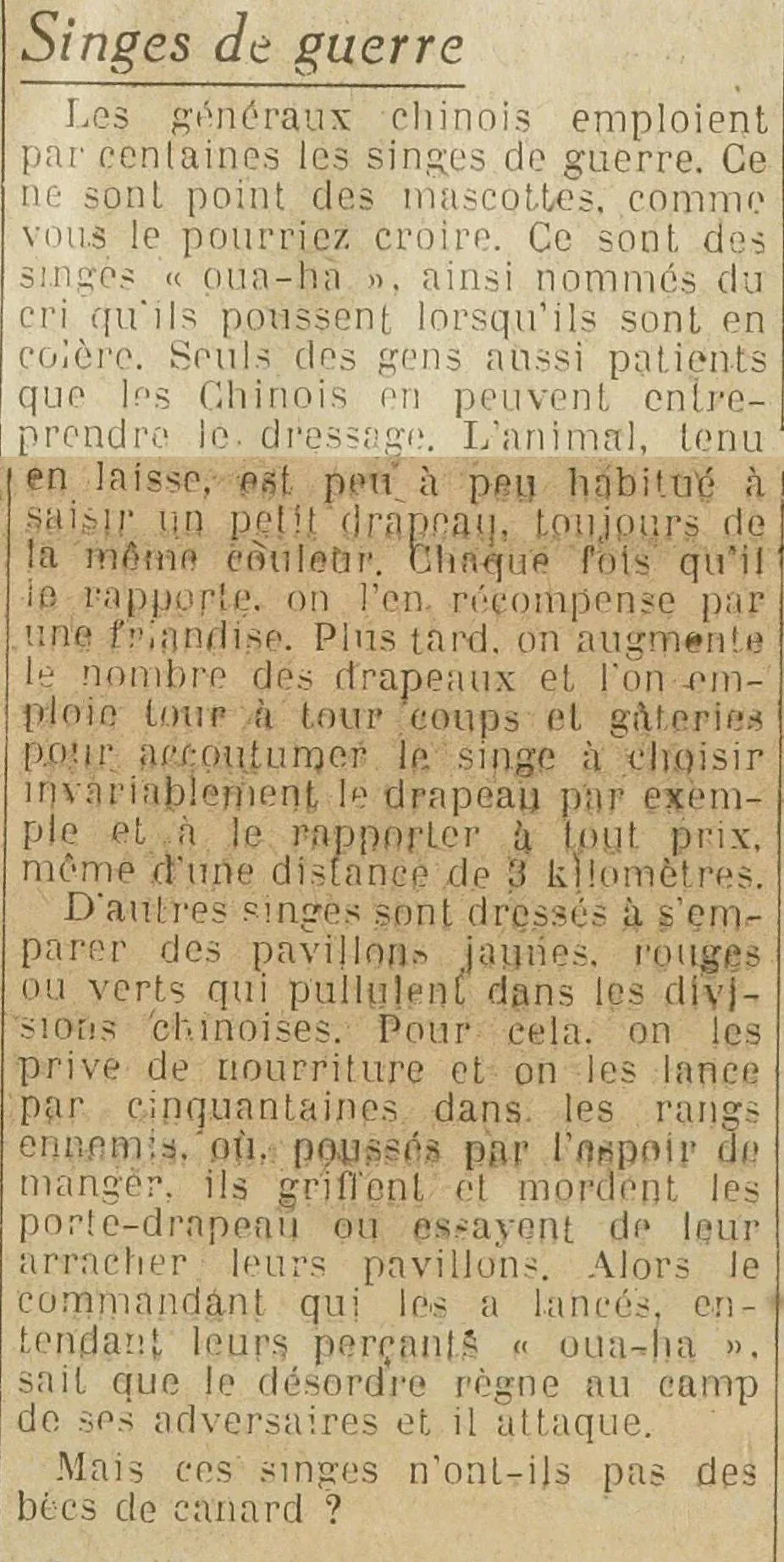 Hundreds of war monkeys are employed by Chinese generals