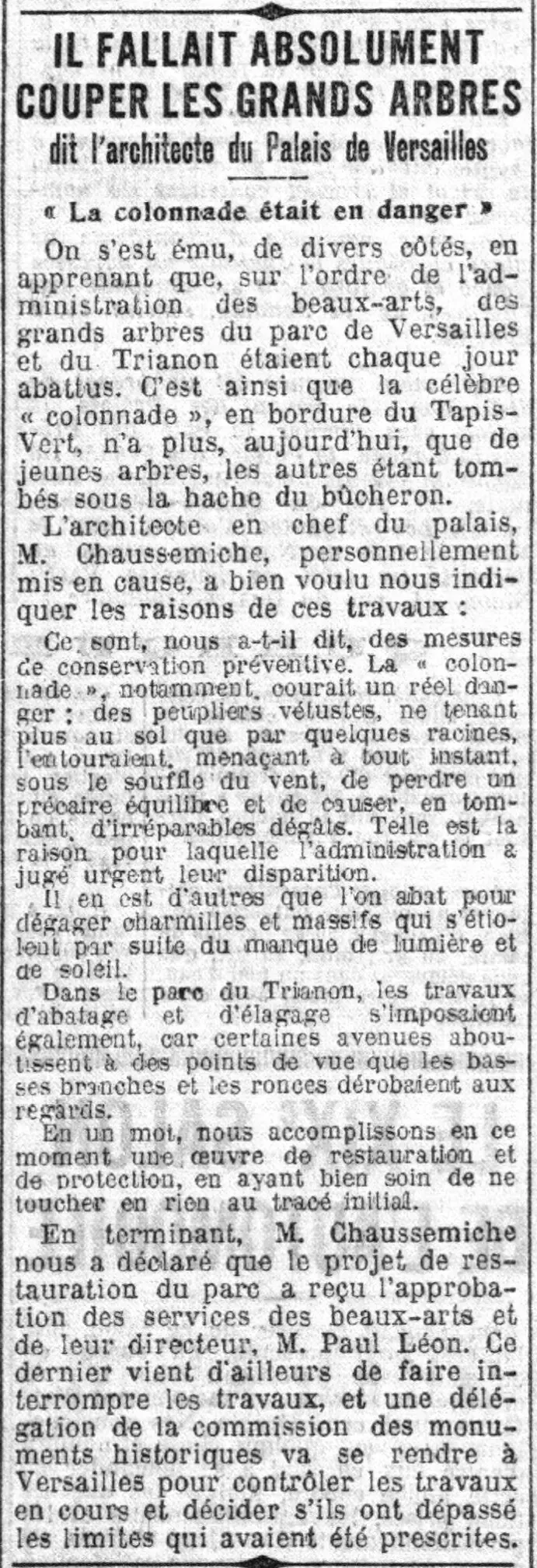 Il fallait absolument couper les grands arbres