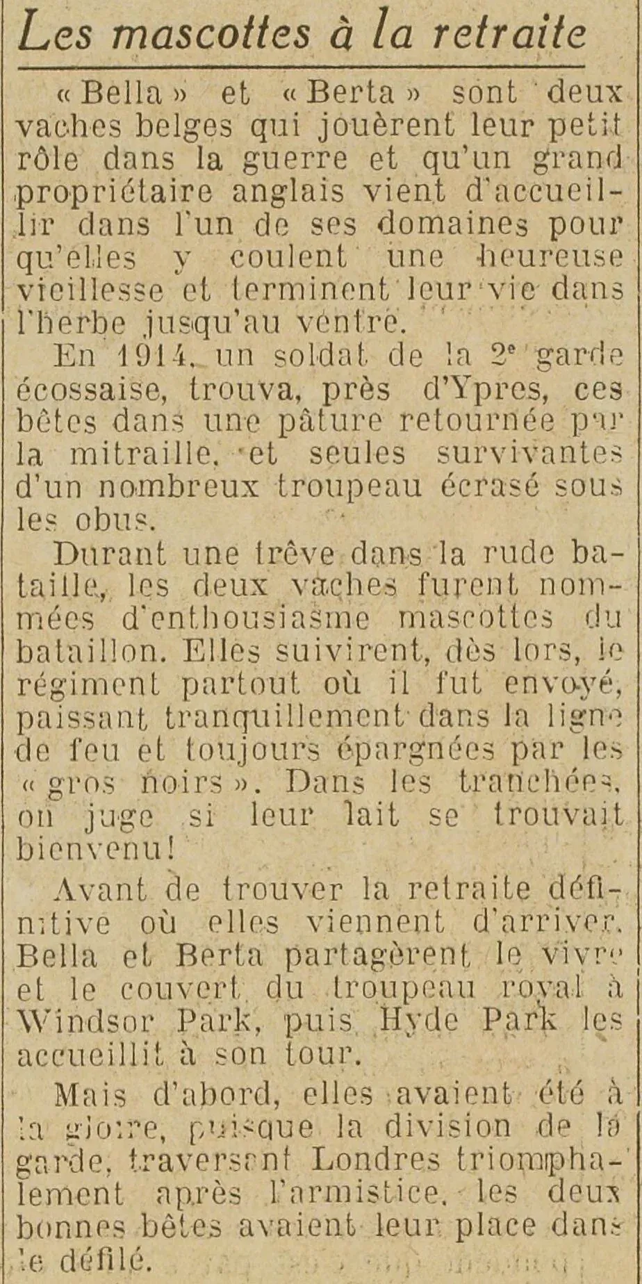 Deux vaches belges «Bella» et «Berta» coulent une heureuse vieillesse