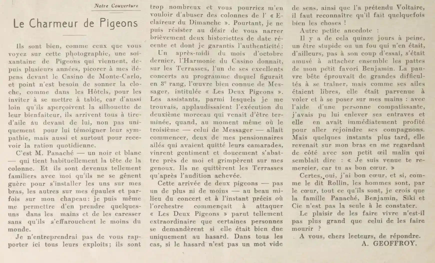 LÉclaireur du dimanche 24 12 21 le charmeur de pigeons
