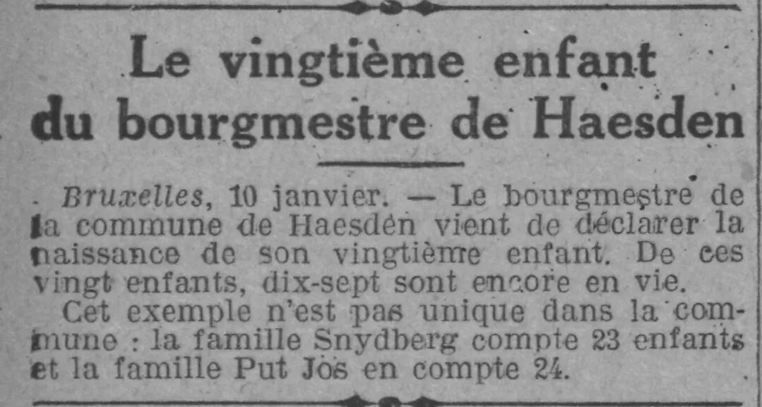 Les pères lapins de la ville de Haesden