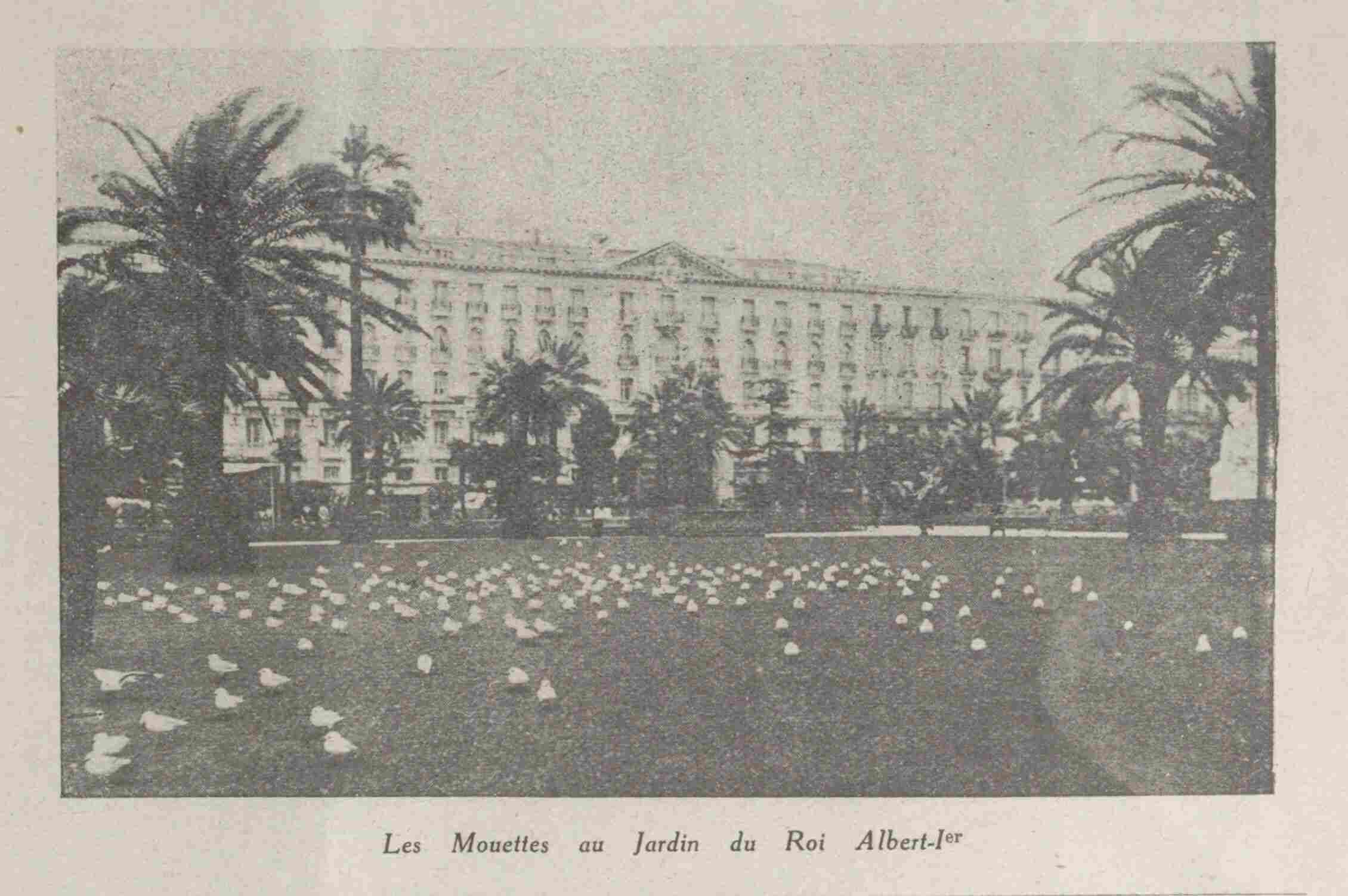 LÉclaireur du dimanche 1925 02 22 art 13 02 photo mouettes du jardin Albert 1er 13