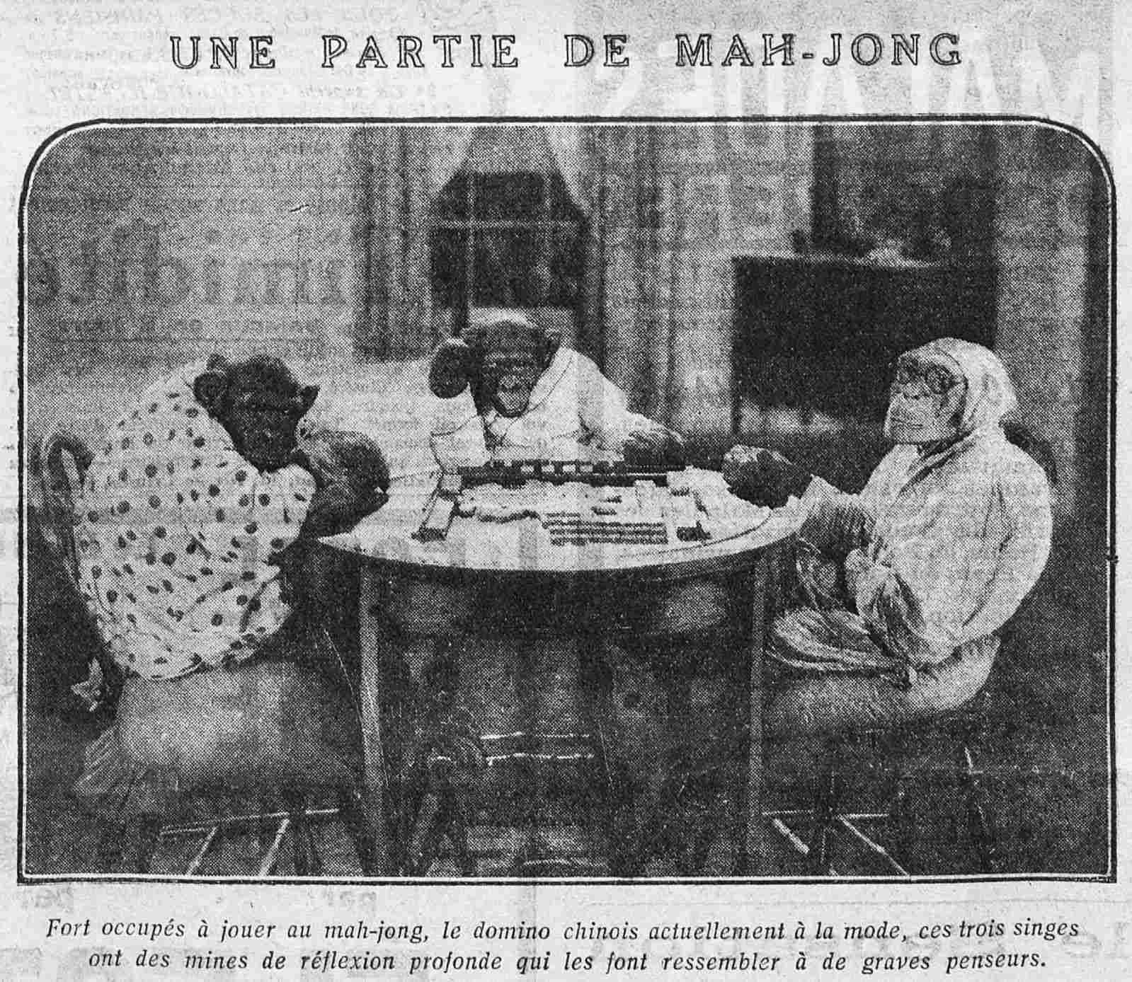 en photo les chimpanzés jouent au Mah Jong 