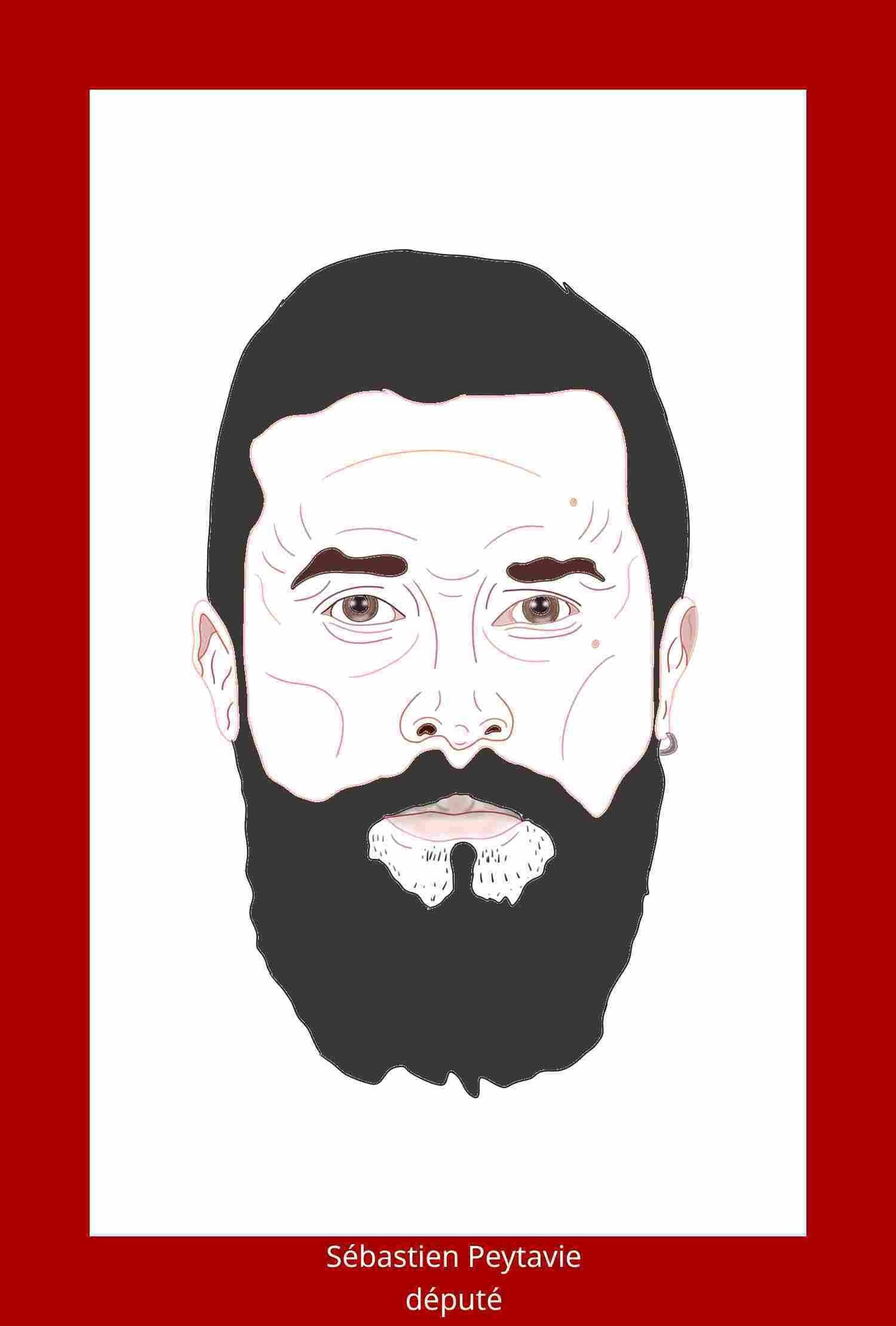 Sébastien Peytavie député handicapé 