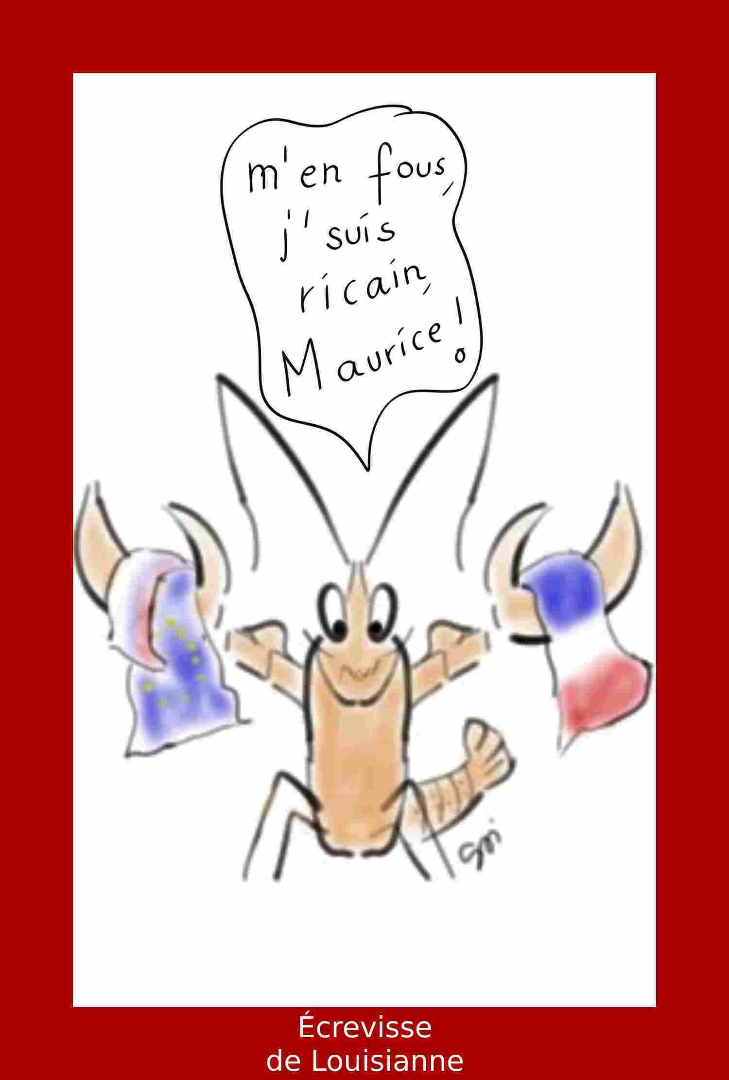 Écrevisse de Louisiane