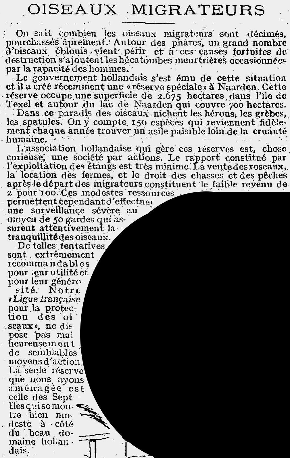 Le Pêle mêle 1925 05 14 oiseaux migrateurs décimés