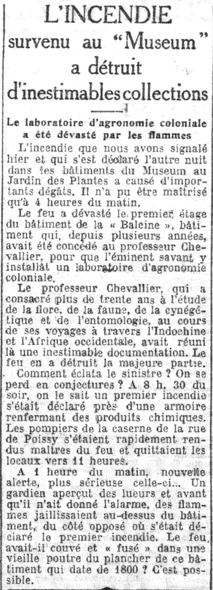 Le Petit Parisien 1925 06 08 l'incendie du Jardin des Plantes
