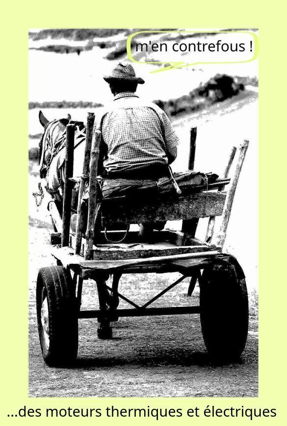 Sur l Île de Graciosa aux Açores