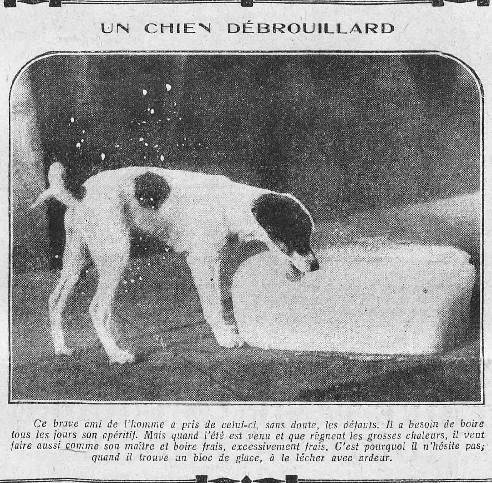 Le Petit journal illustré 1925 08 09 art 09 le chien débrouillard 9