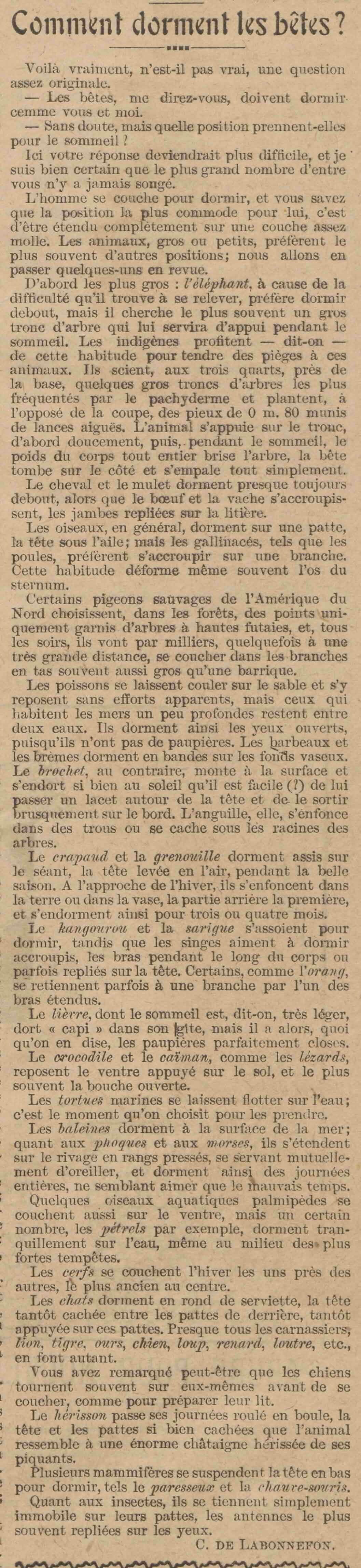 Le Petit écho de la mode art 03 comment dorment les bêtes