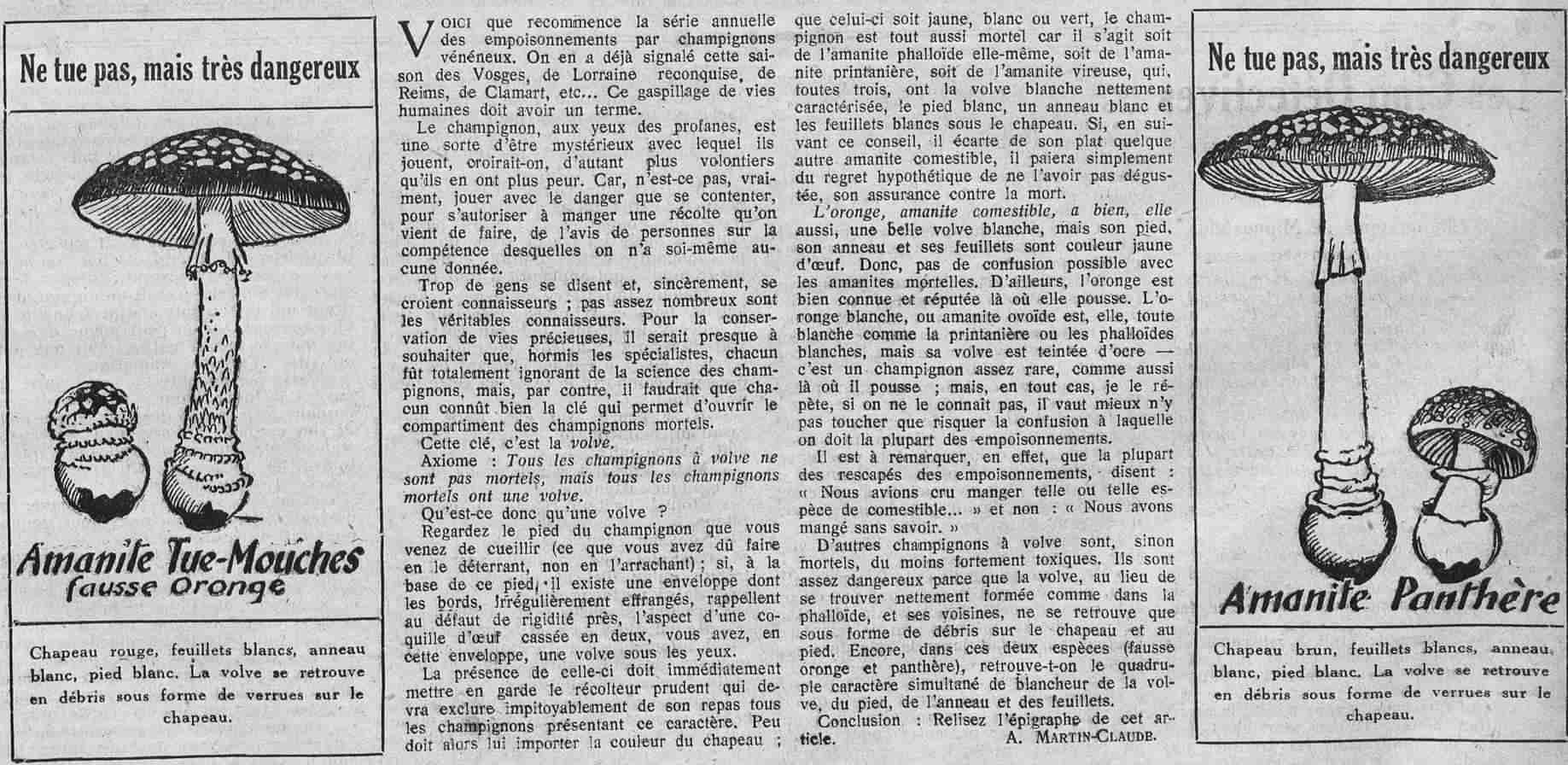 Le Petit journal illustré 1925 11 01 07 les champignons vénéneux 1