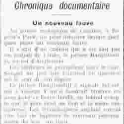 Le Funi 1925 12 06 02 tigron et liger