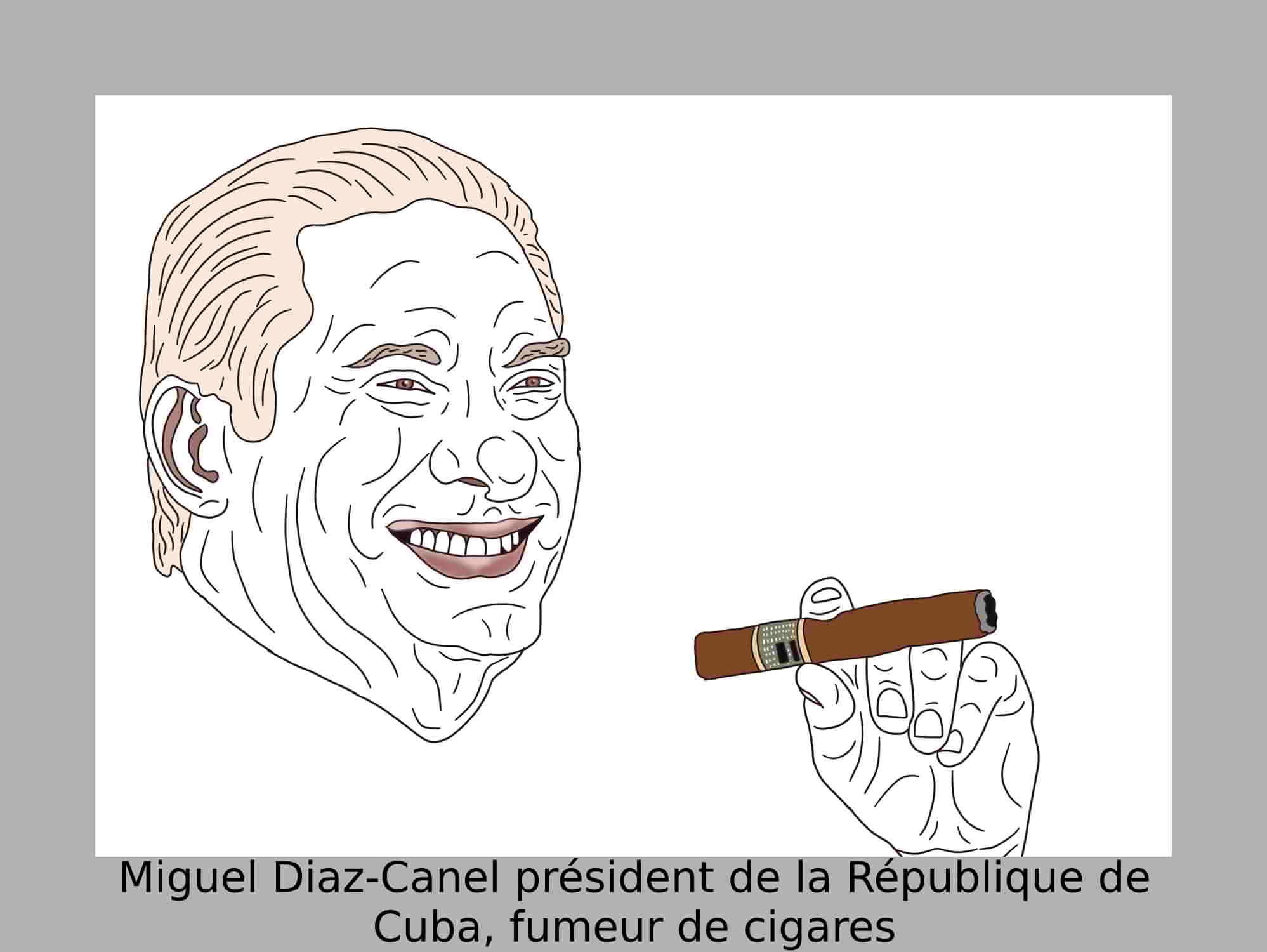 Miguel Diaz Canel président de la République de Cuba