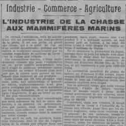 LHomme libre 1925 12 20 La chasse aux mammifères marins est d'un intérêt considérable