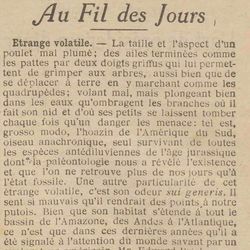 Le Petit Écho de la mode Au fil des jours