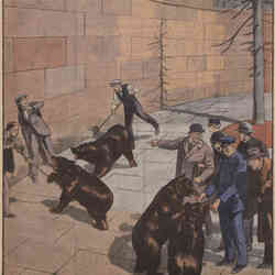 Le Petit journal illustré 1926 02 21 Ours de Berne