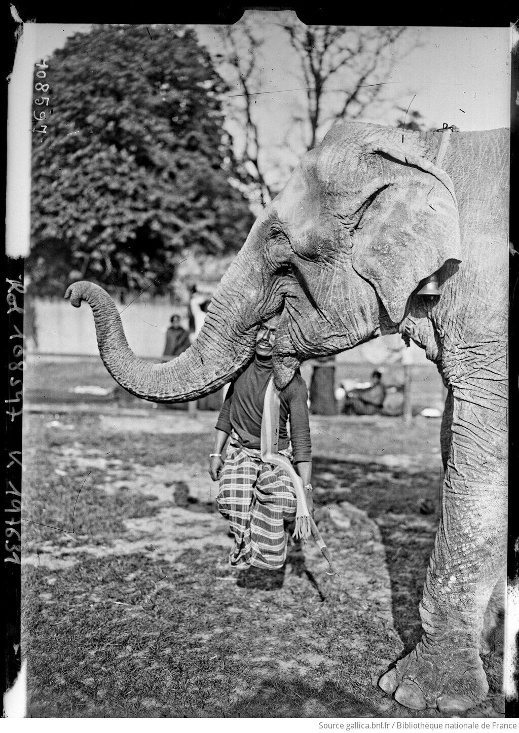 13 4 26 éléphant tenant son cornac dans la gueule village hindou du Jardin Acclimatation Agence Rol