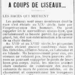 Le Funi 1926 04 25 Le grand pingouin