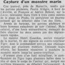 Capture d'un monstre marin